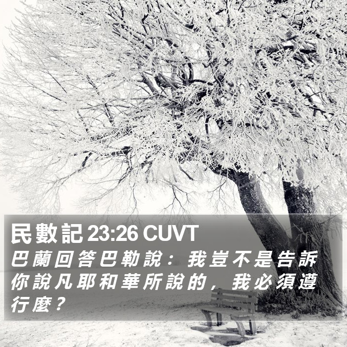 民 數 記 23:26 CUVT Bible Study