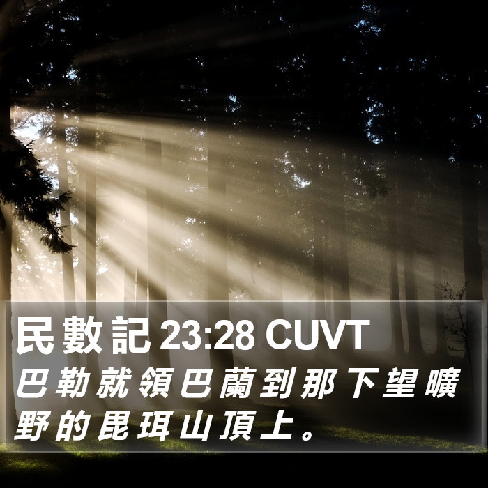 民 數 記 23:28 CUVT Bible Study