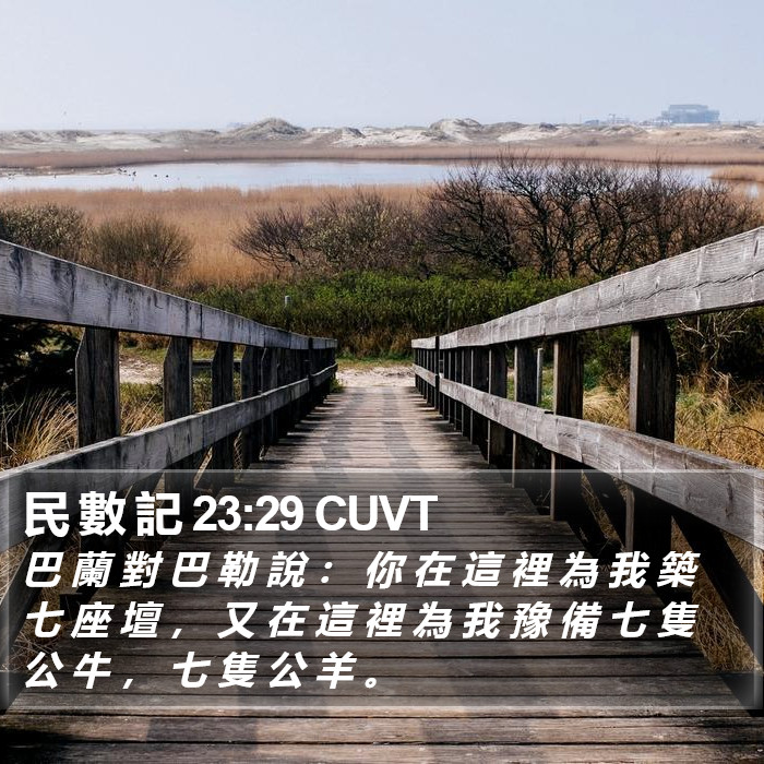 民 數 記 23:29 CUVT Bible Study