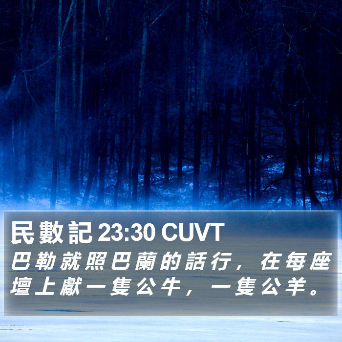 民 數 記 23:30 CUVT Bible Study