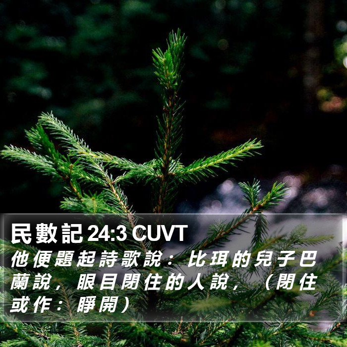 民 數 記 24:3 CUVT Bible Study