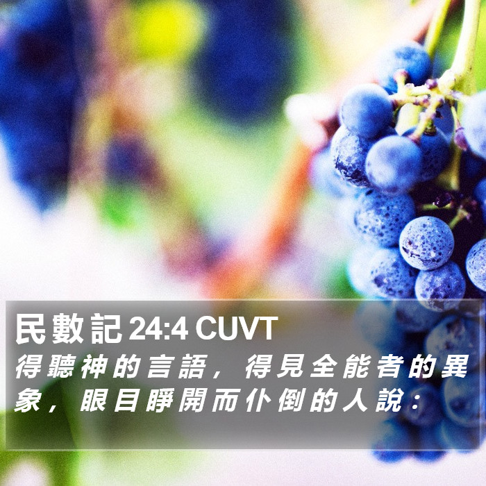 民 數 記 24:4 CUVT Bible Study