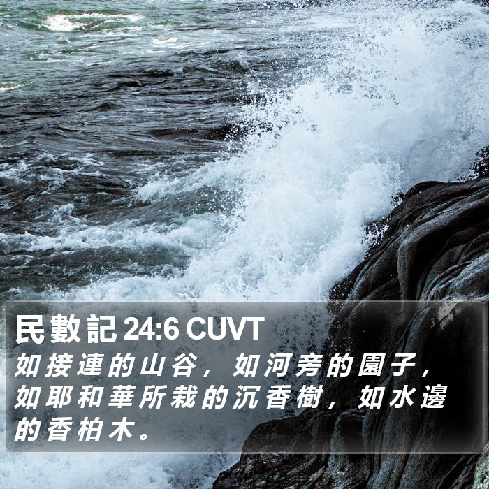 民 數 記 24:6 CUVT Bible Study