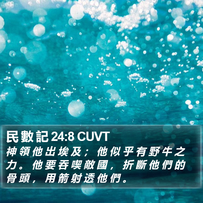 民 數 記 24:8 CUVT Bible Study