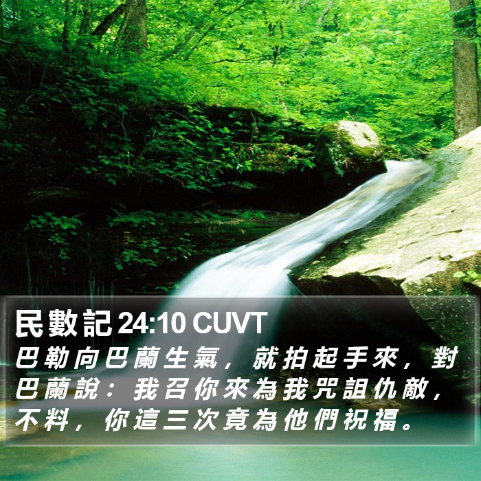 民 數 記 24:10 CUVT Bible Study