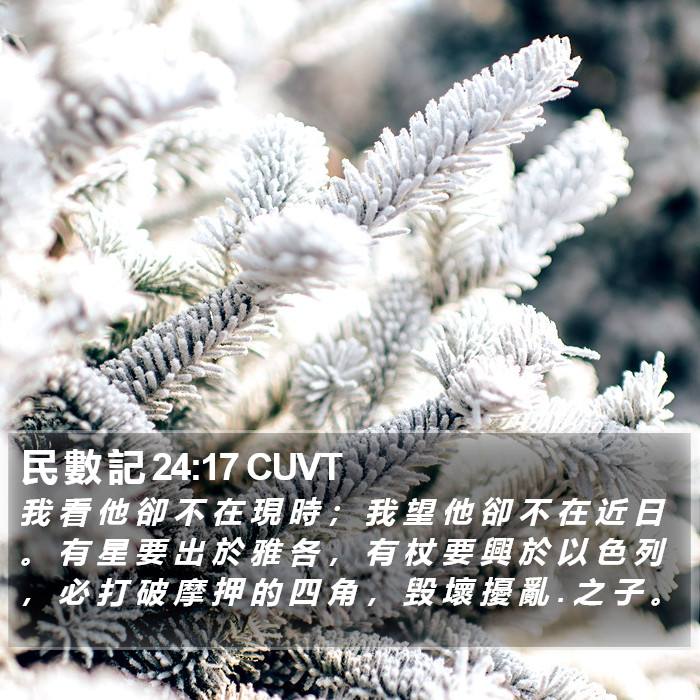 民 數 記 24:17 CUVT Bible Study