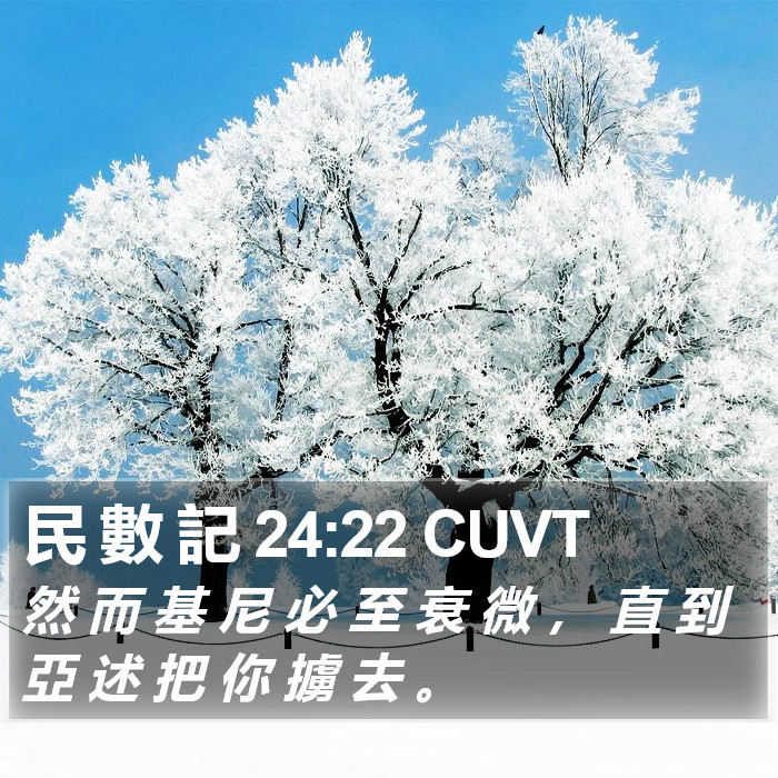 民 數 記 24:22 CUVT Bible Study