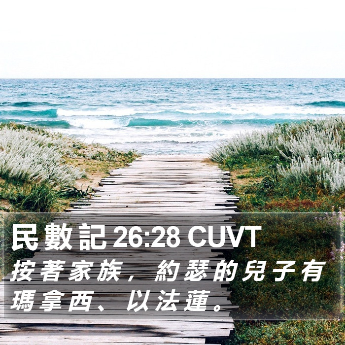 民 數 記 26:28 CUVT Bible Study