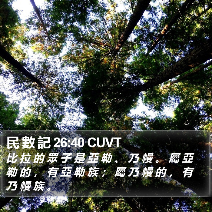 民 數 記 26:40 CUVT Bible Study