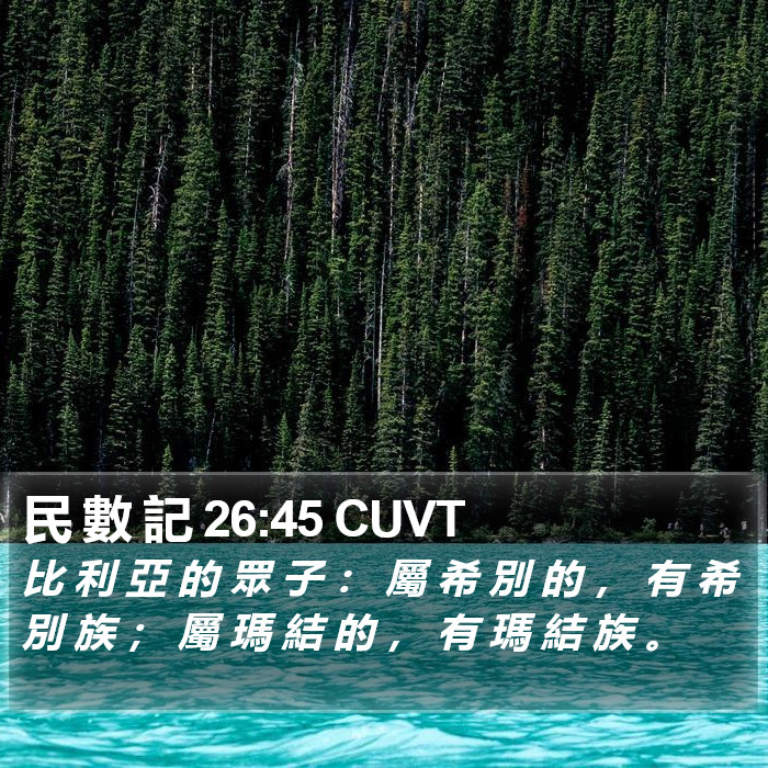 民 數 記 26:45 CUVT Bible Study