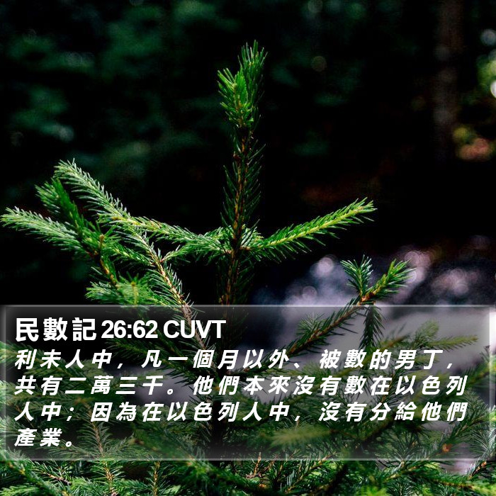 民 數 記 26:62 CUVT Bible Study
