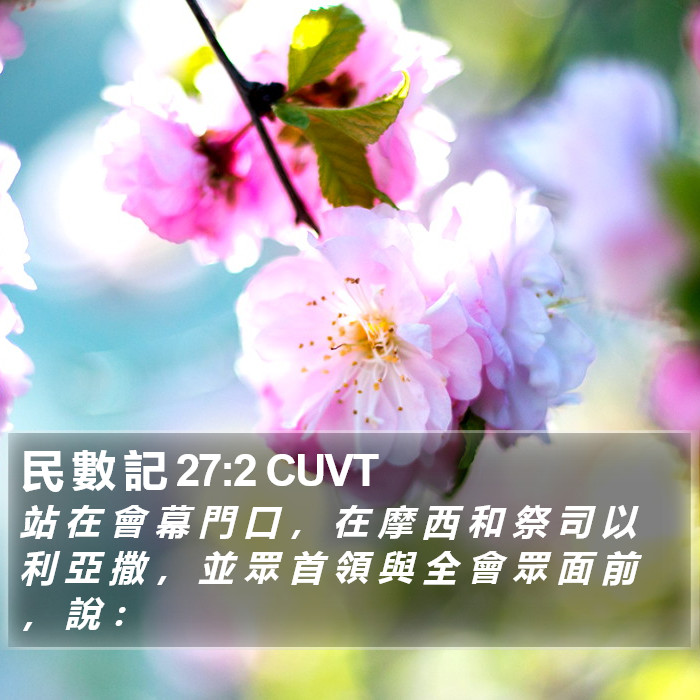 民 數 記 27:2 CUVT Bible Study
