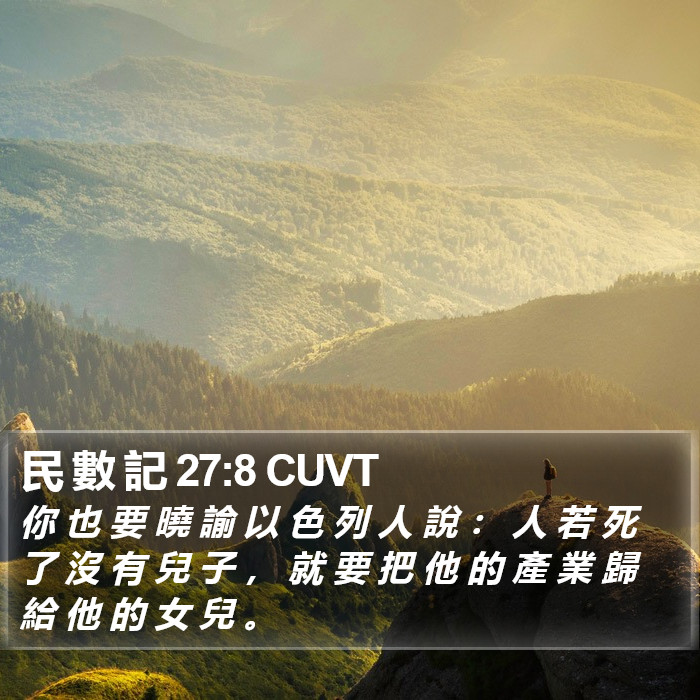 民 數 記 27:8 CUVT Bible Study