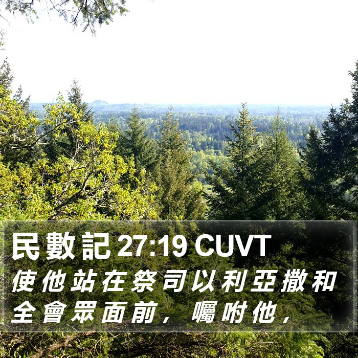 民 數 記 27:19 CUVT Bible Study