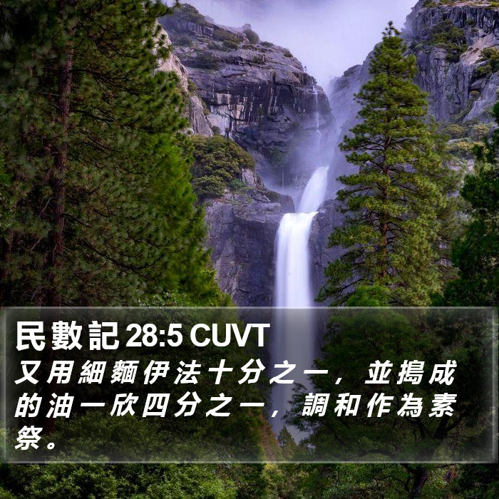 民 數 記 28:5 CUVT Bible Study