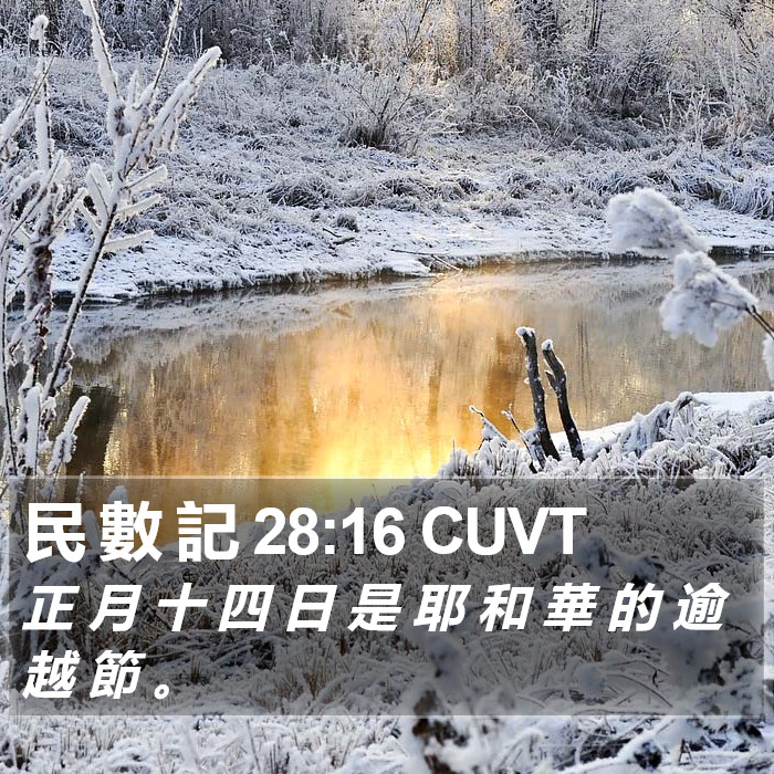 民 數 記 28:16 CUVT Bible Study