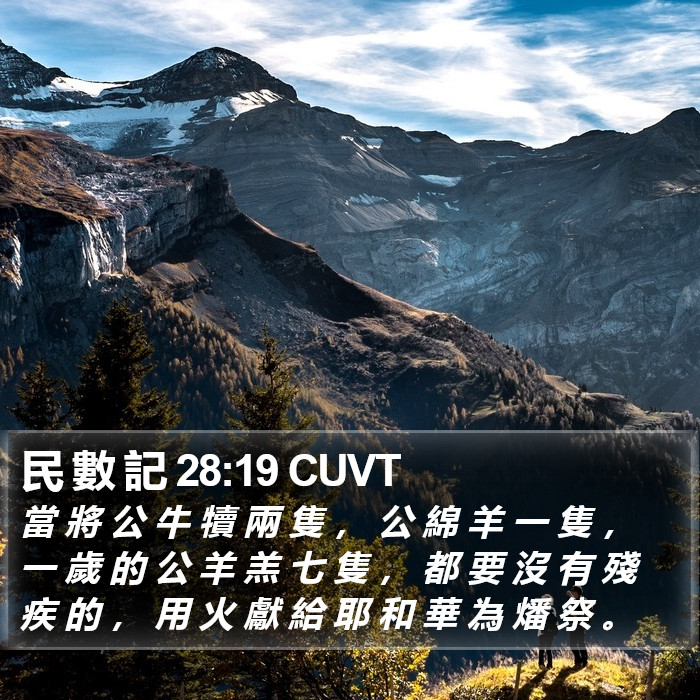 民 數 記 28:19 CUVT Bible Study