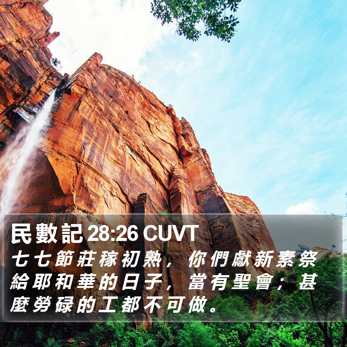 民 數 記 28:26 CUVT Bible Study
