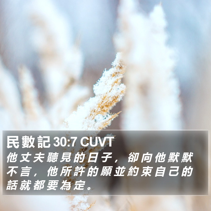 民 數 記 30:7 CUVT Bible Study