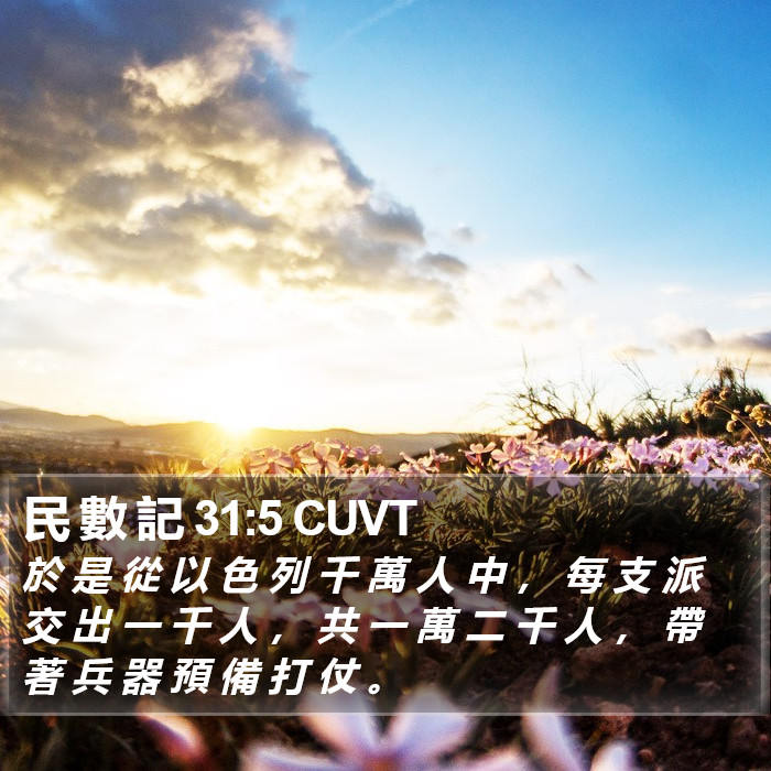 民 數 記 31:5 CUVT Bible Study