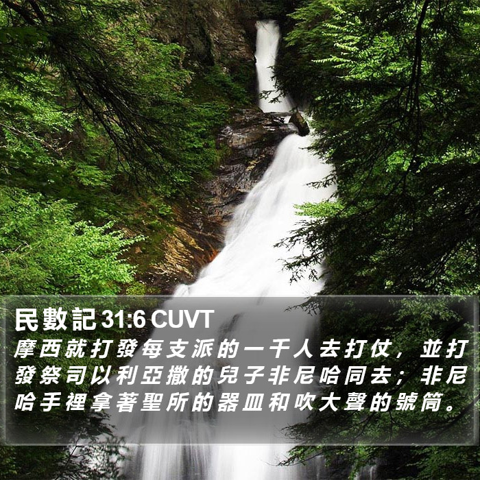 民 數 記 31:6 CUVT Bible Study