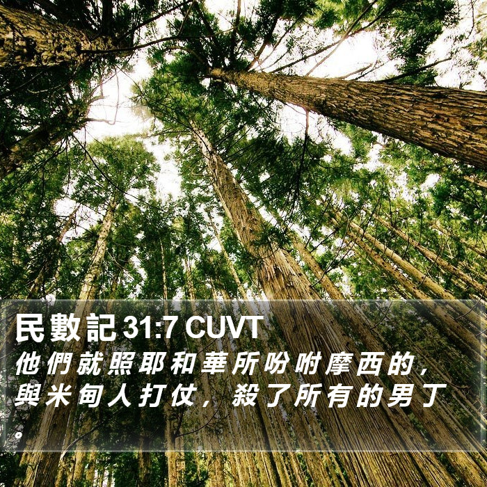 民 數 記 31:7 CUVT Bible Study