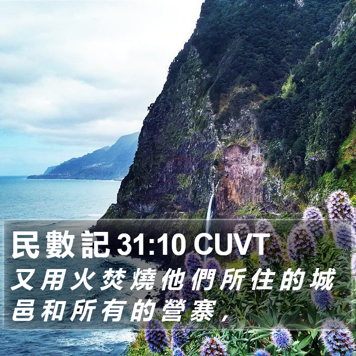 民 數 記 31:10 CUVT Bible Study
