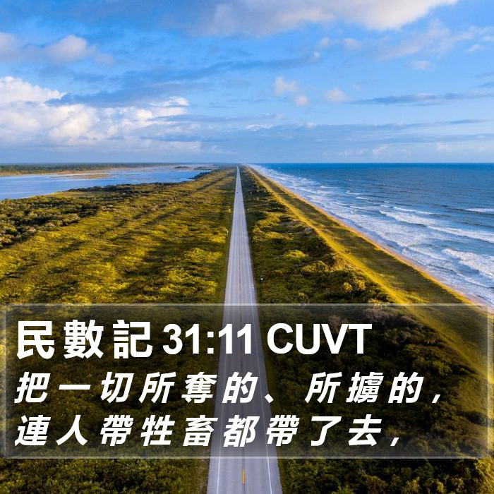 民 數 記 31:11 CUVT Bible Study