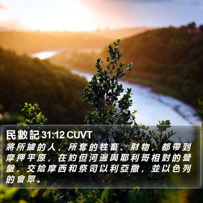 民 數 記 31:12 CUVT Bible Study
