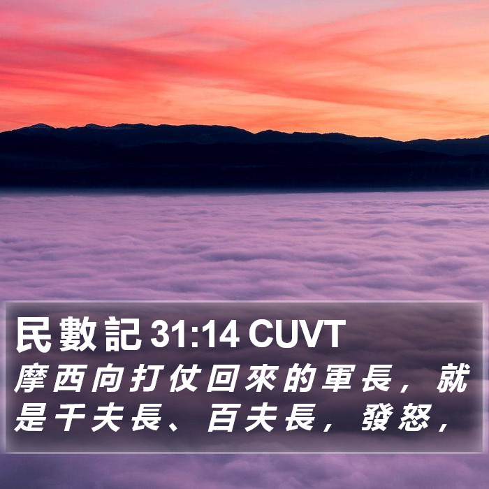 民 數 記 31:14 CUVT Bible Study