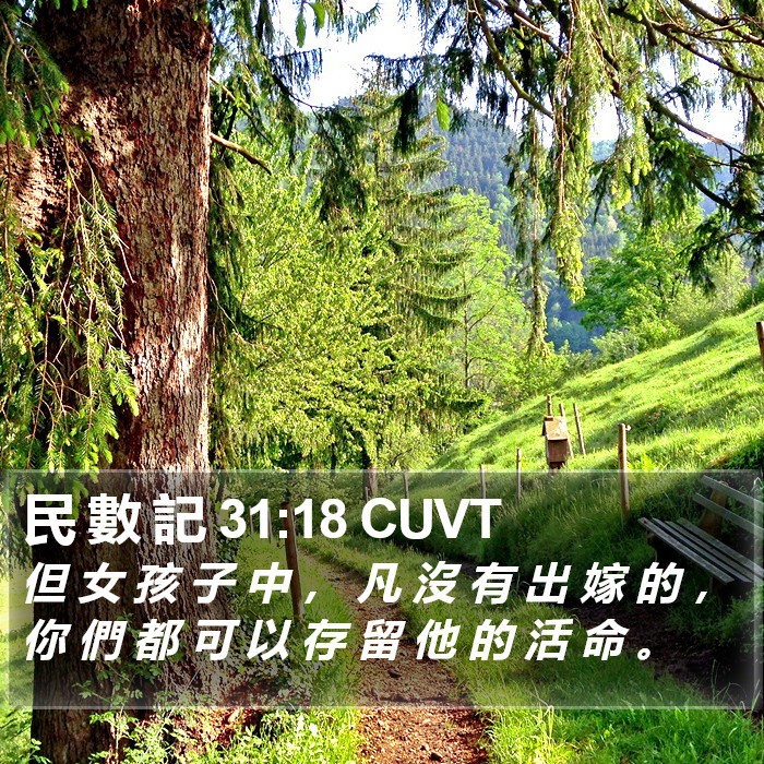 民 數 記 31:18 CUVT Bible Study