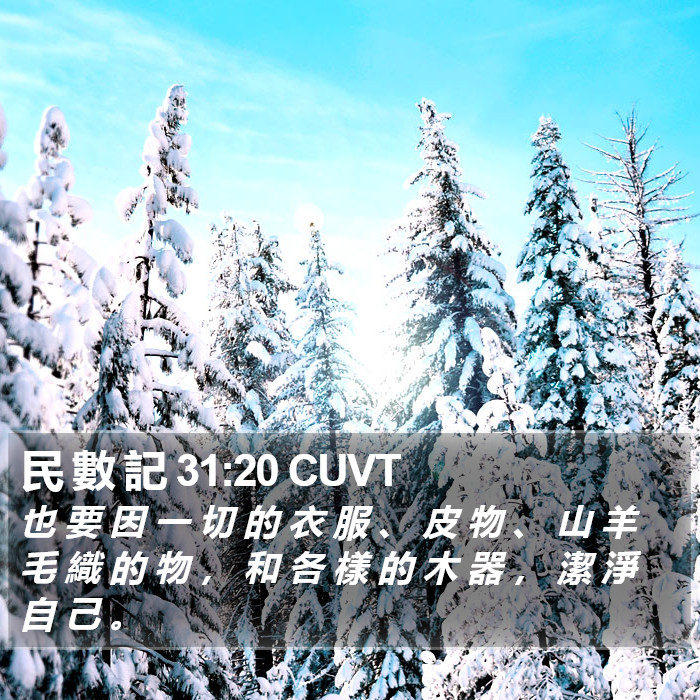 民 數 記 31:20 CUVT Bible Study