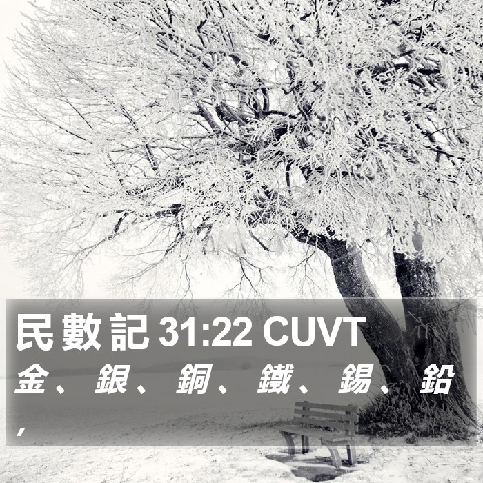 民 數 記 31:22 CUVT Bible Study