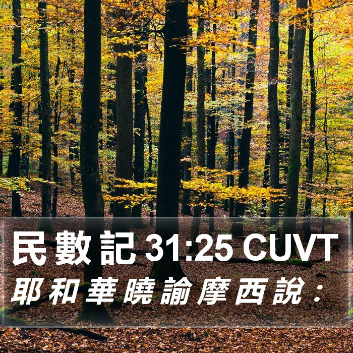 民 數 記 31:25 CUVT Bible Study