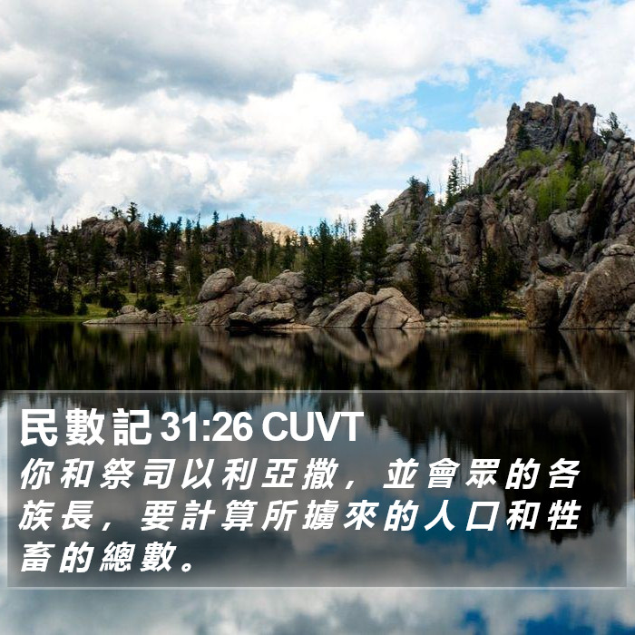 民 數 記 31:26 CUVT Bible Study