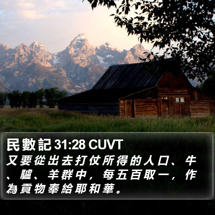 民 數 記 31:28 CUVT Bible Study