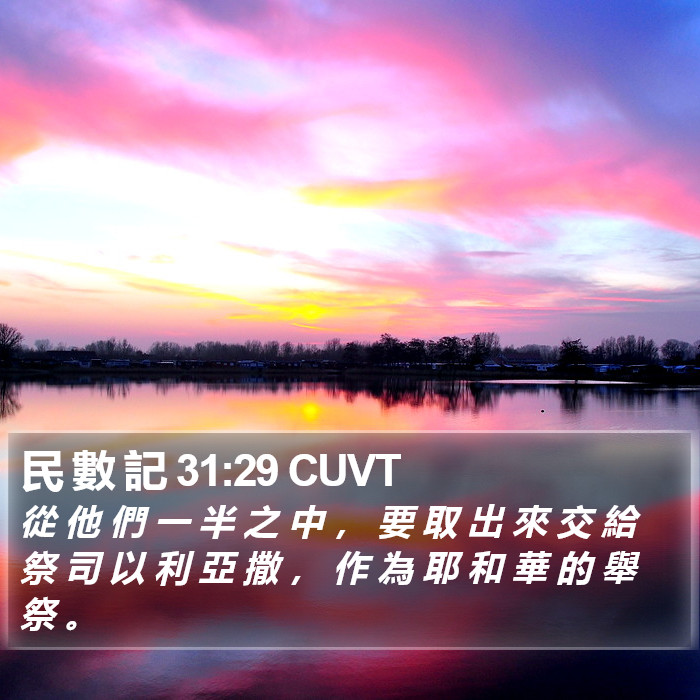 民 數 記 31:29 CUVT Bible Study