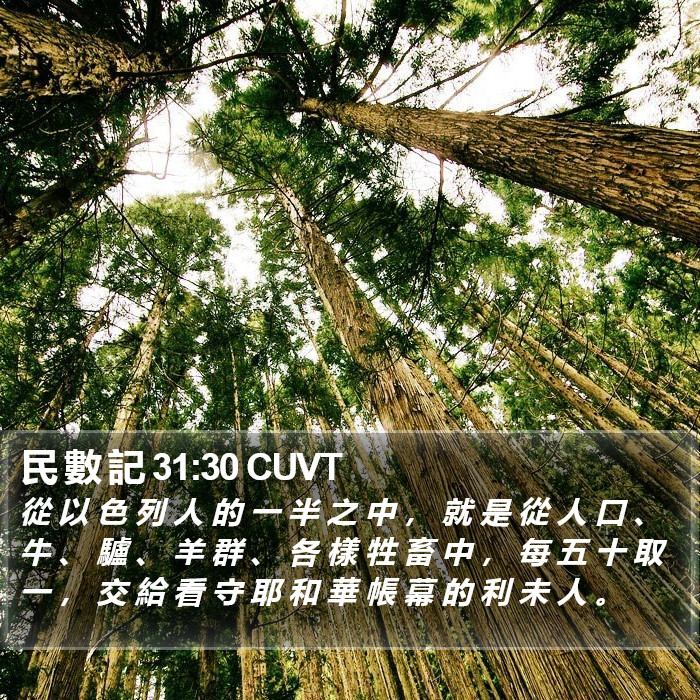 民 數 記 31:30 CUVT Bible Study
