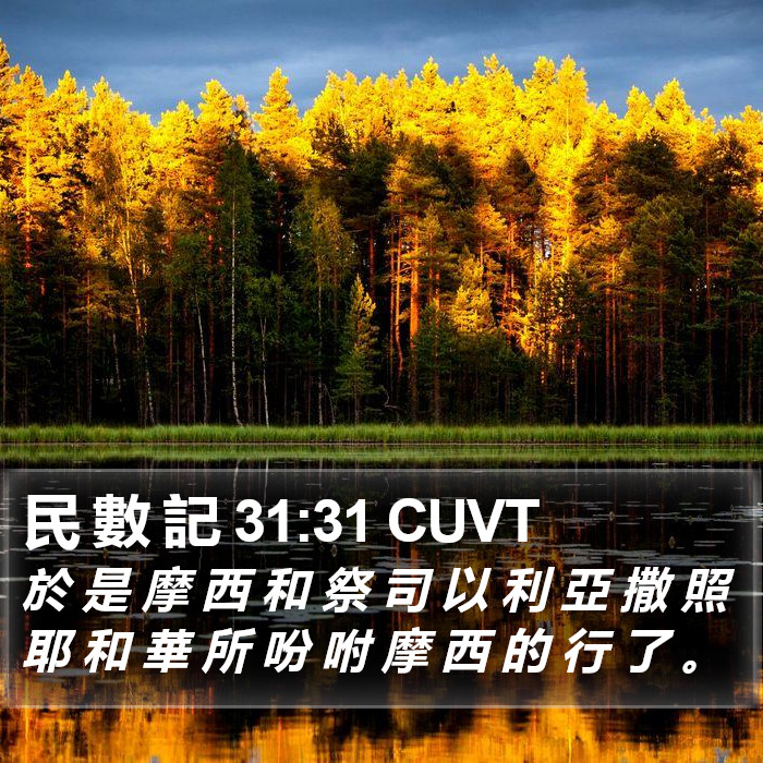 民 數 記 31:31 CUVT Bible Study