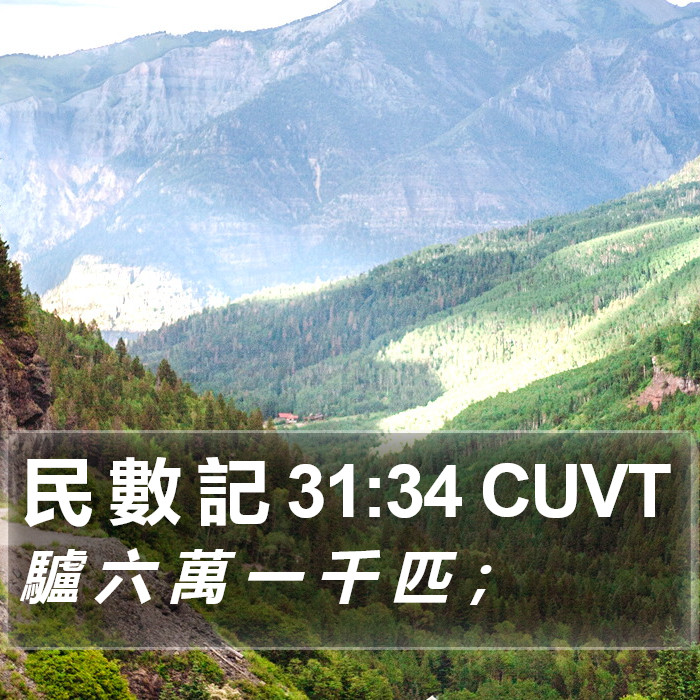 民 數 記 31:34 CUVT Bible Study