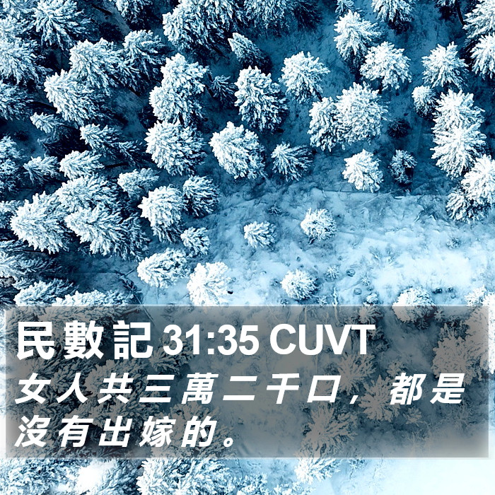 民 數 記 31:35 CUVT Bible Study