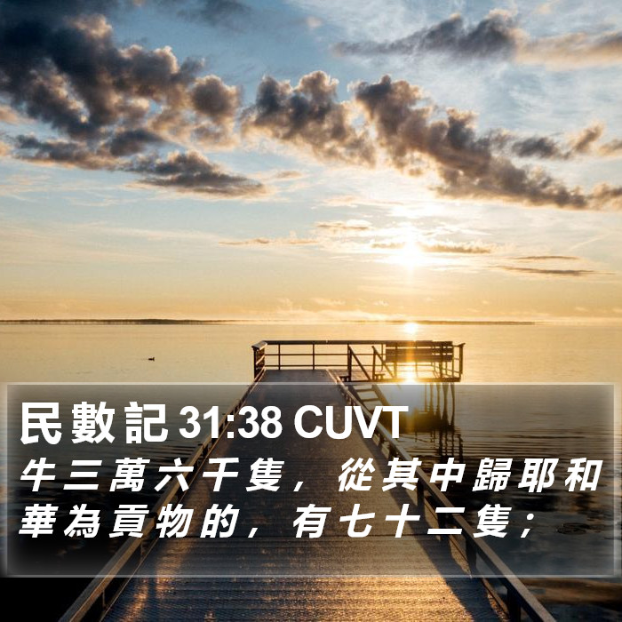 民 數 記 31:38 CUVT Bible Study