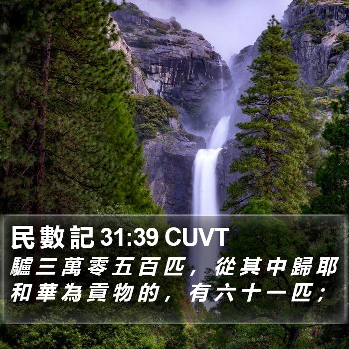 民 數 記 31:39 CUVT Bible Study