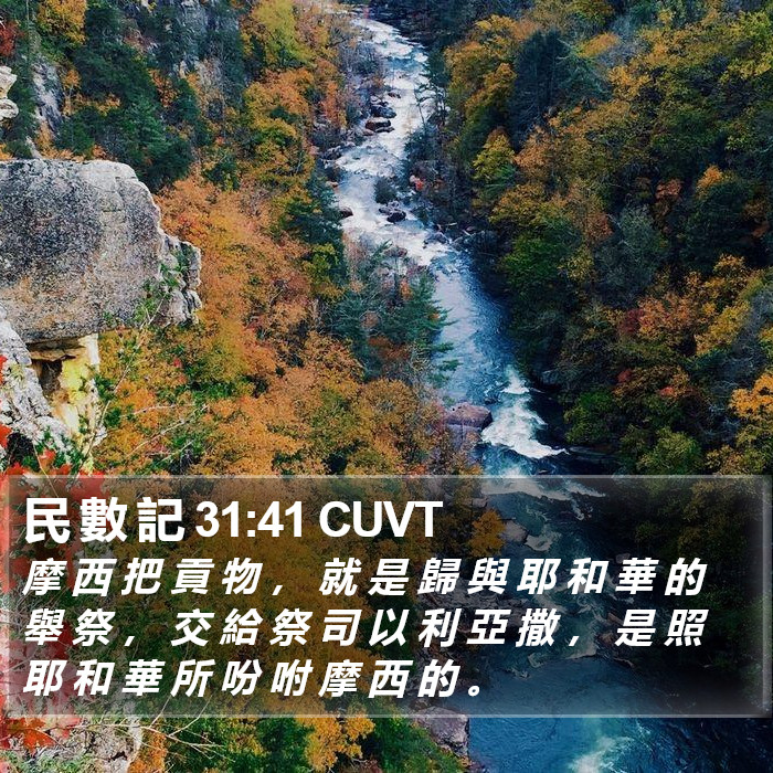 民 數 記 31:41 CUVT Bible Study