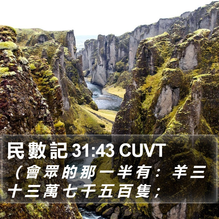 民 數 記 31:43 CUVT Bible Study