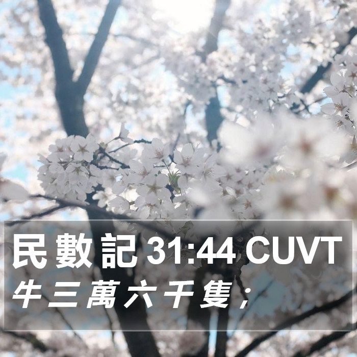 民 數 記 31:44 CUVT Bible Study