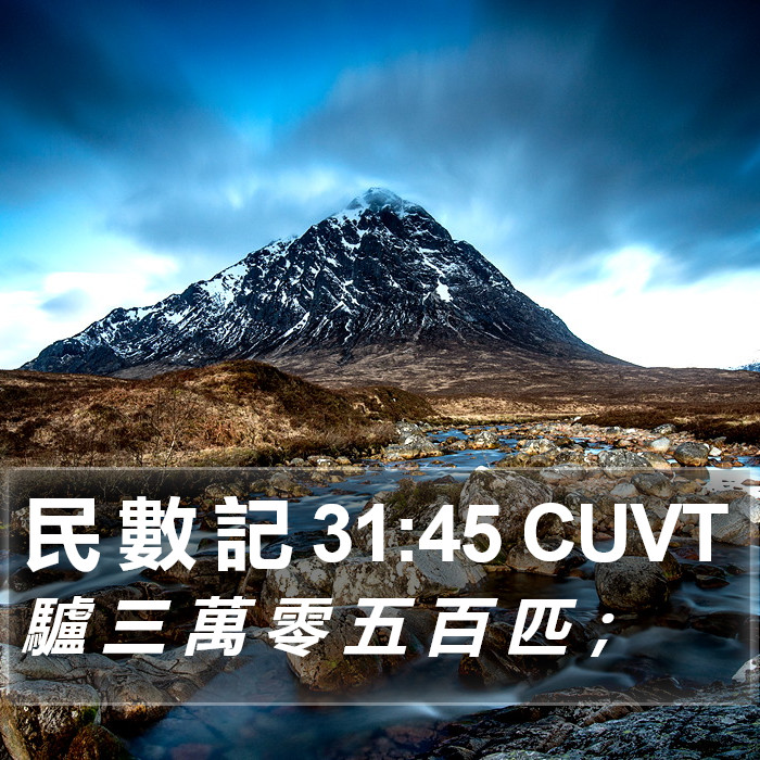 民 數 記 31:45 CUVT Bible Study