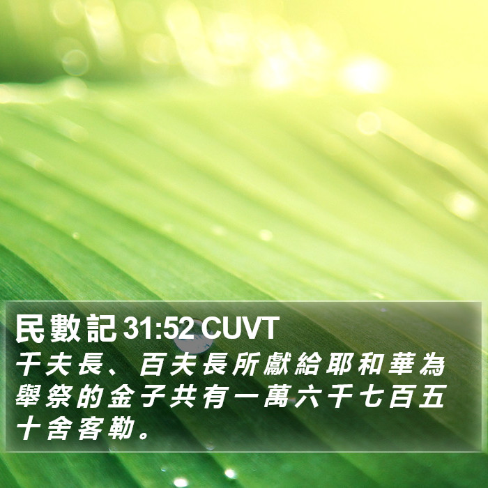 民 數 記 31:52 CUVT Bible Study