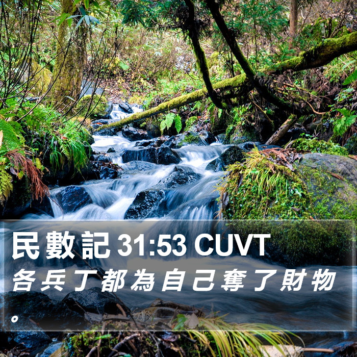 民 數 記 31:53 CUVT Bible Study