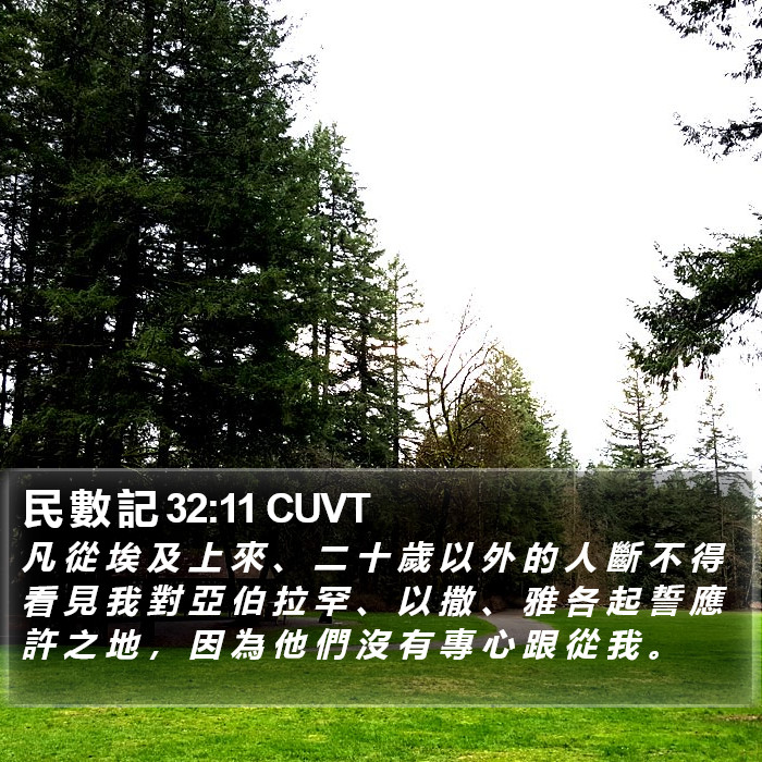 民 數 記 32:11 CUVT Bible Study